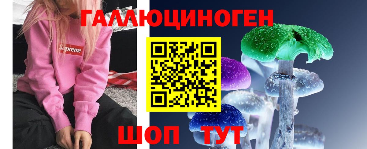Галлюциногенные грибы прущие грибы Великий Новгород